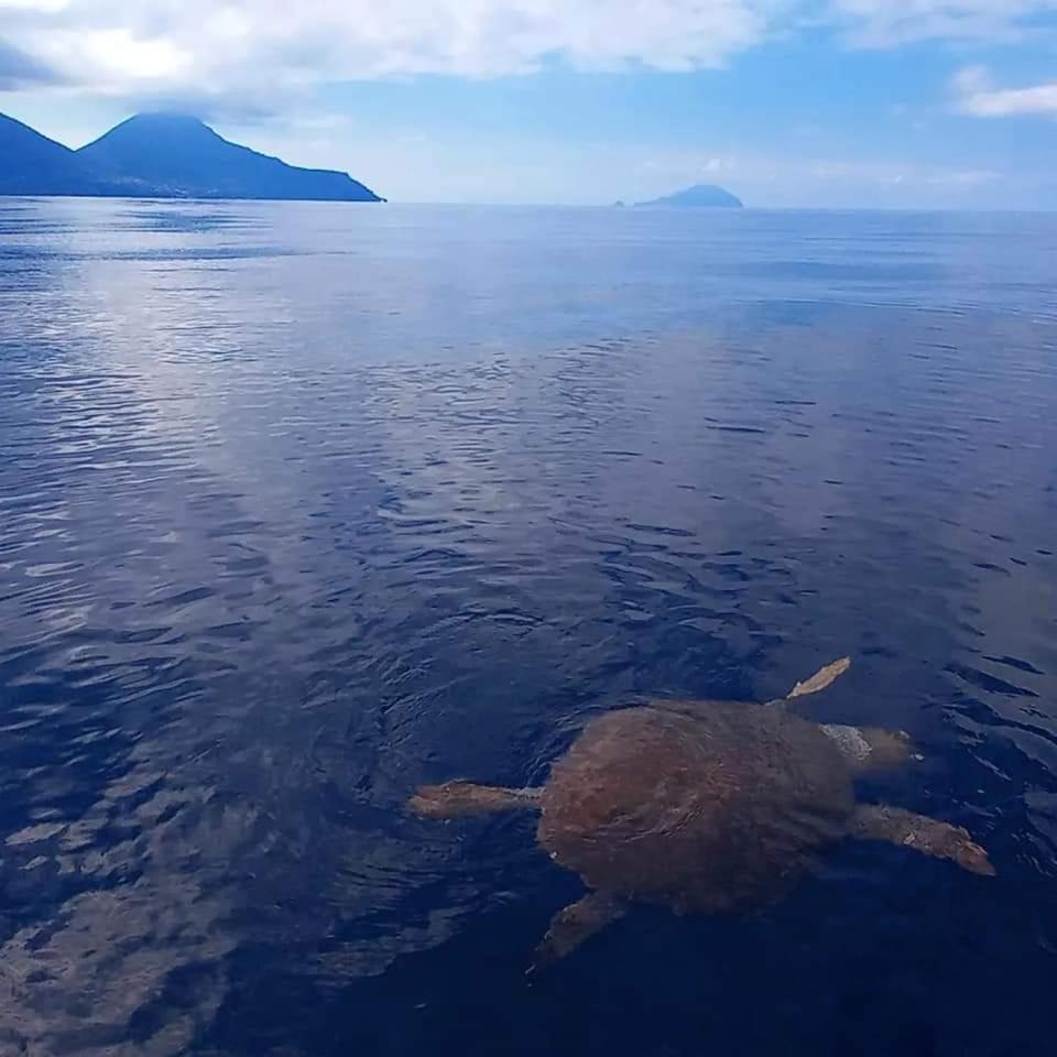 "Appartamento Del Mare Gliaca" Con Vista Isole Eolie,Ampia Terrazza,Wifi E Parcheggio Privato Gratuito Пираино Экстерьер фото